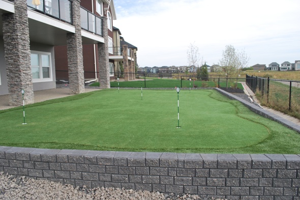 Naperville residential backyard putting green grass near modern home with golf flags