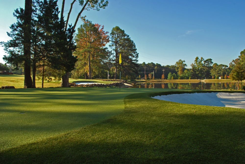 Naperville Artificial Turf Golf Course