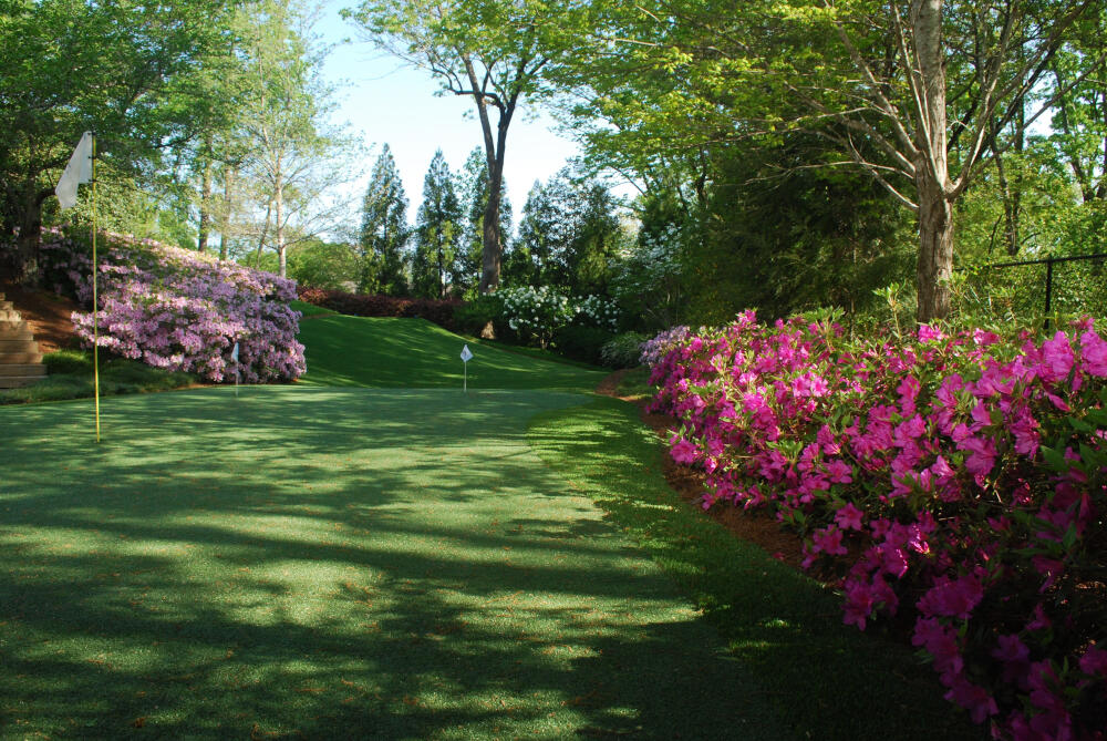 Naperville backyard putting green grass