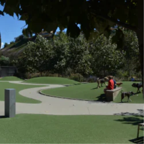 What to Understand Before You Spec a Dog Park Surface in Naperville