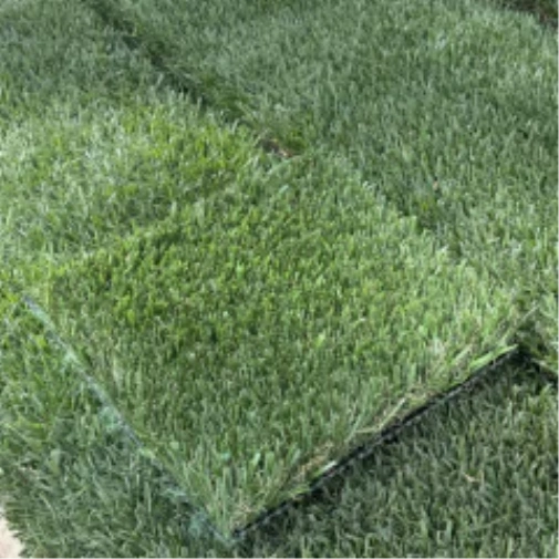 Introducing Wide Blade Turf in Naperville