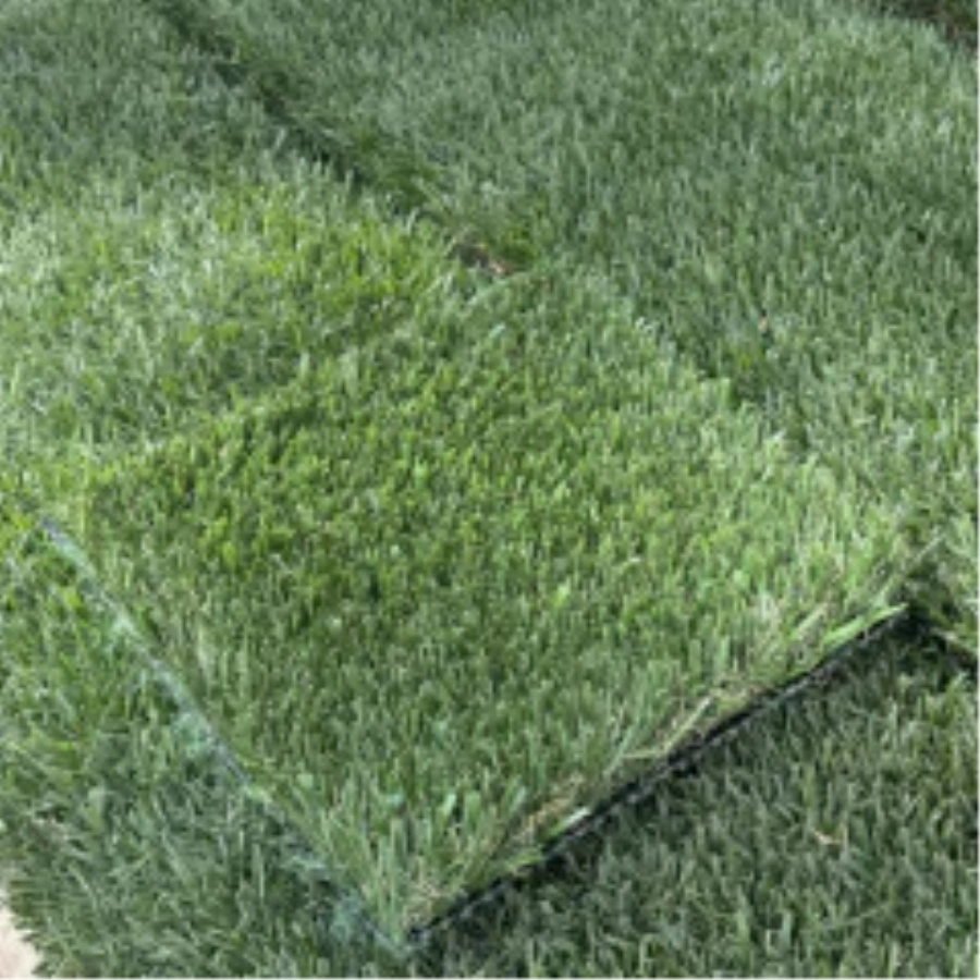Introducing Wide Blade Turf in Naperville