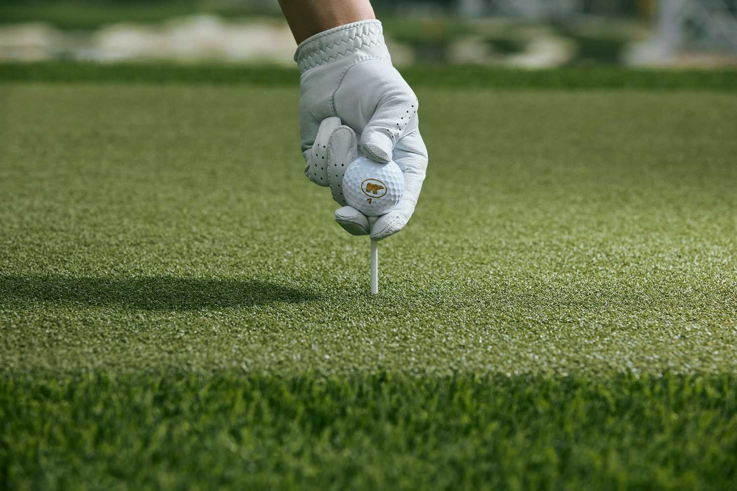 Naperville driving range