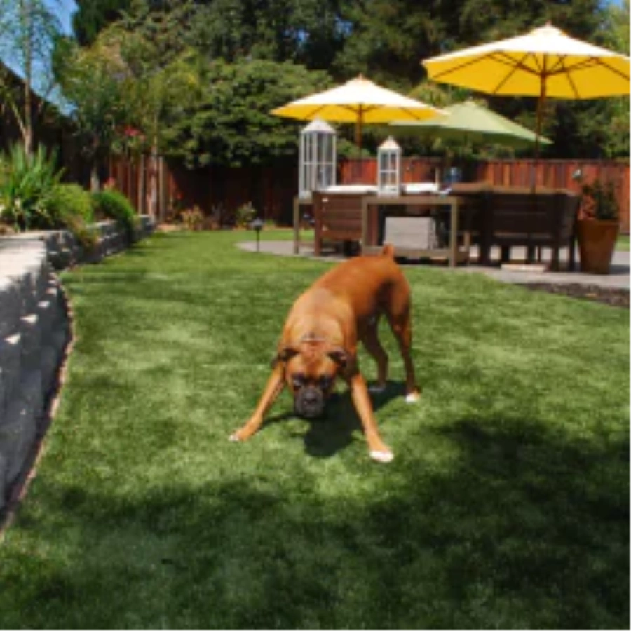 How fake grass for dogs Upgrades Your [[targetlocaiton]] Lawn