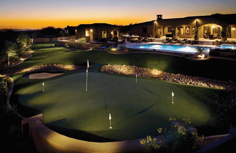 Naperville residential backyard putting green grass